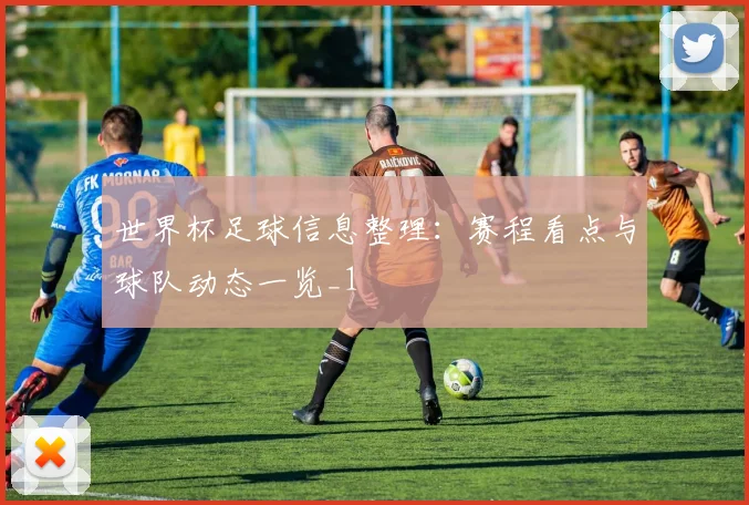 世界杯足球信息整理：赛程看点与球队动态一览_1