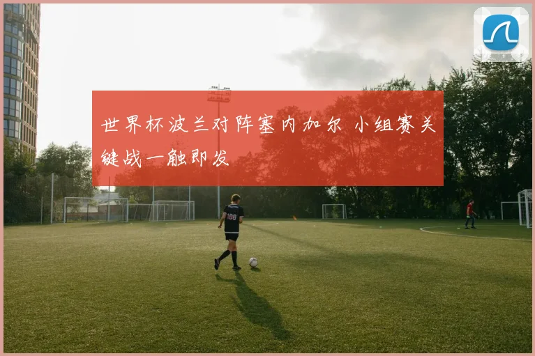 世界杯波兰对阵塞内加尔 小组赛关键战一触即发