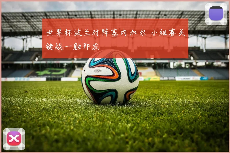 世界杯波兰对阵塞内加尔 小组赛关键战一触即发